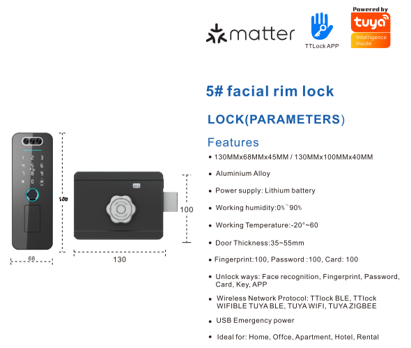 Tuya Face Recognition Apartment Smart Lock