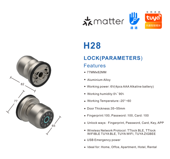 Tuya Tubular Smart Knob Lock
