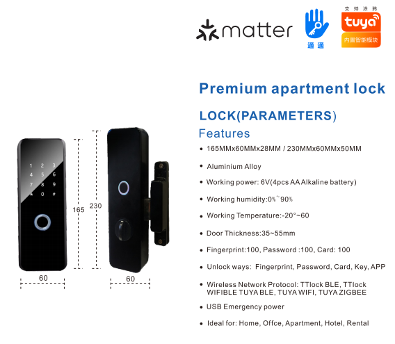 Tuya Luxury Apartment Smart Lock