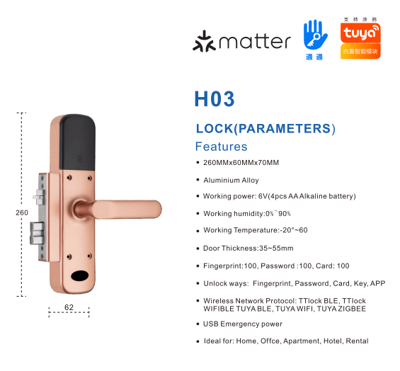 Tuya Fingerprint & Password Smart Lock