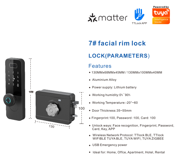 Tuya Face Recognition Apartment Smart Lock